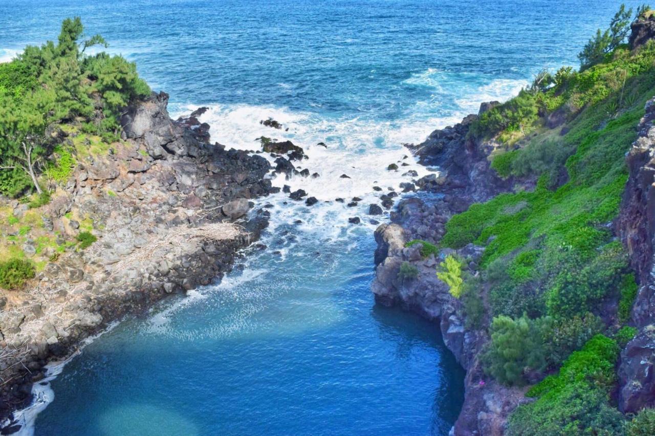 L'Abri-Cotier A 150M De La Plage De Boucan Saint-Gilles-les Bains Exteriér fotografie